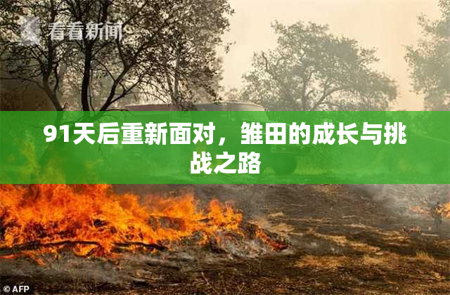 91天后重新面对，雏田的成长与挑战之路