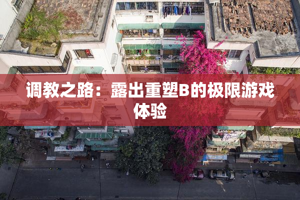 调教之路：露出重塑B的极限游戏体验