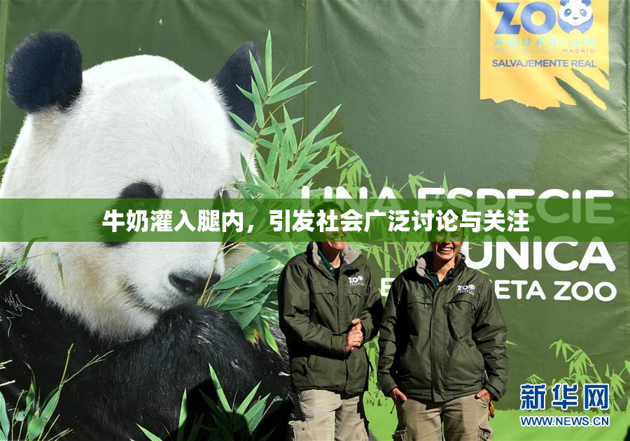 牛奶灌入腿内，引发社会广泛讨论与关注