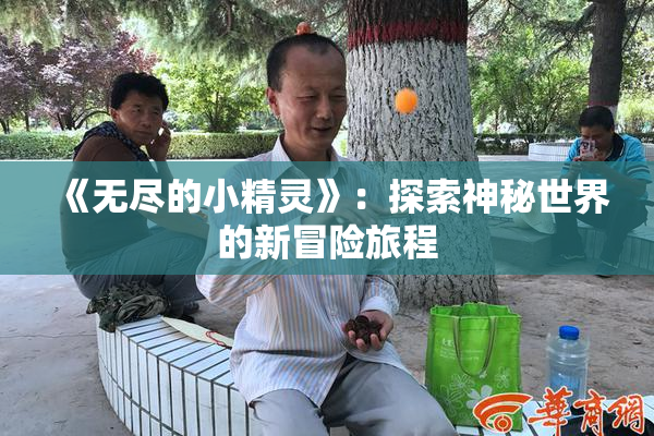 《无尽的小精灵》：探索神秘世界的新冒险旅程