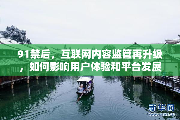 91禁后，互联网内容监管再升级，如何影响用户体验和平台发展？