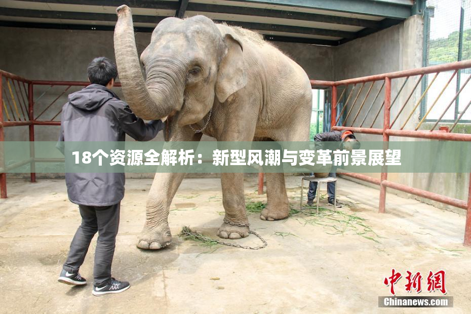 18个资源全解析：新型风潮与变革前景展望