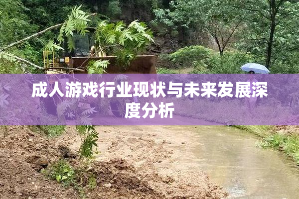 成人游戏行业现状与未来发展深度分析