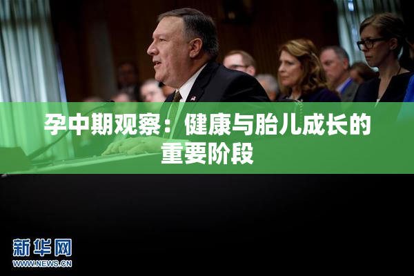 孕中期观察：健康与胎儿成长的重要阶段