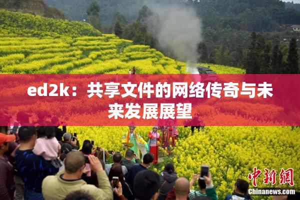 ed2k：共享文件的网络传奇与未来发展展望