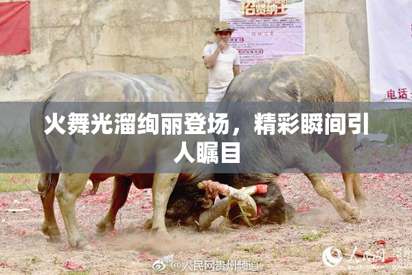 火舞光溜绚丽登场，精彩瞬间引人瞩目