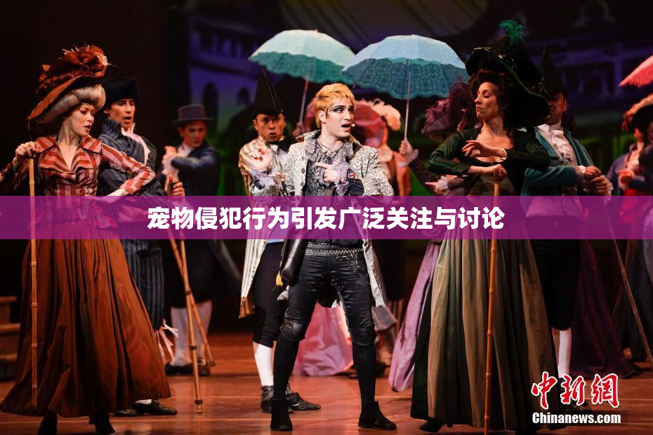 宠物侵犯行为引发广泛关注与讨论