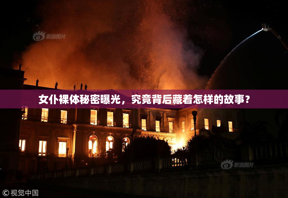 女仆裸体秘密曝光，究竟背后藏着怎样的故事？