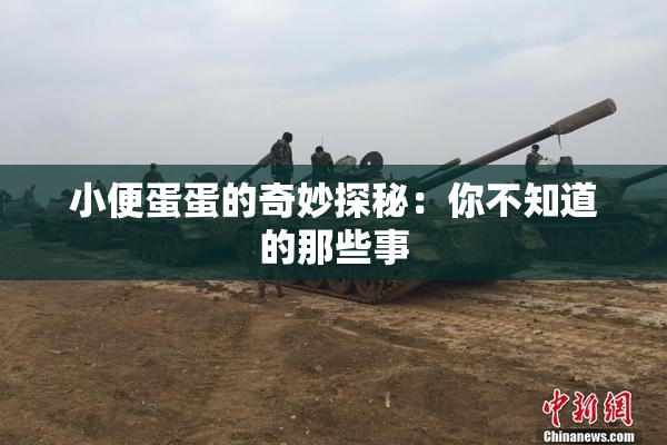 小便蛋蛋的奇妙探秘：你不知道的那些事