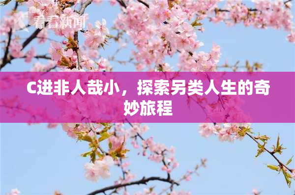 C进非人哉小，探索另类人生的奇妙旅程