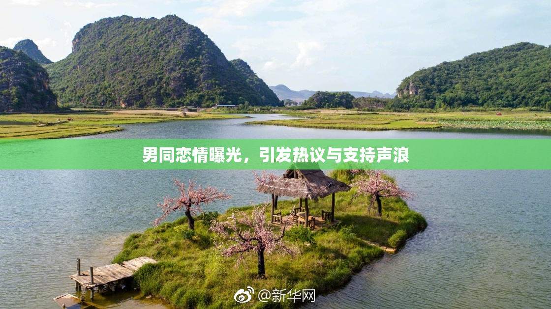 男同恋情曝光，引发热议与支持声浪