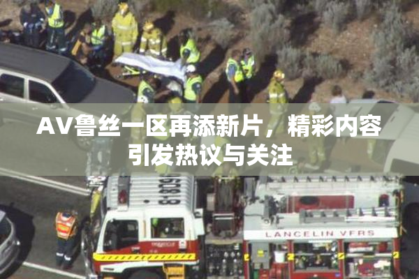 AV鲁丝一区再添新片，精彩内容引发热议与关注