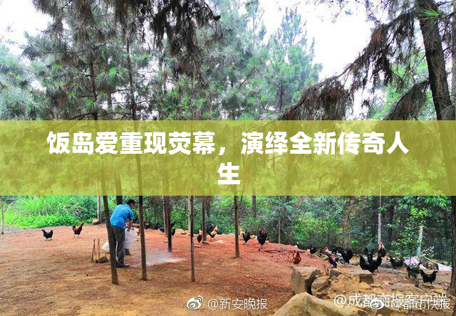 饭岛爱重现荧幕，演绎全新传奇人生