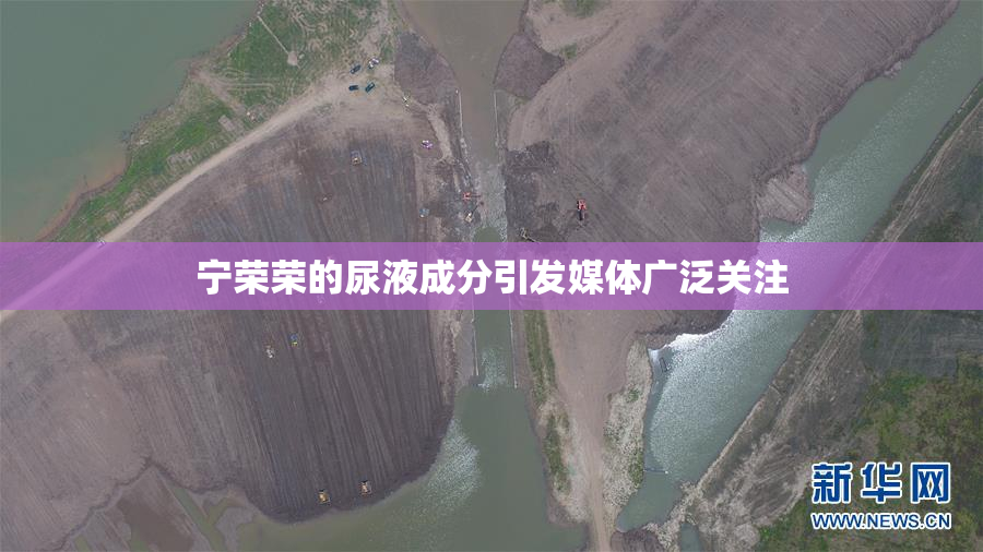 宁荣荣的尿液成分引发媒体广泛关注