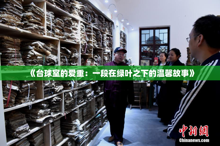 《台球室的爱重：一段在绿叶之下的温馨故事》