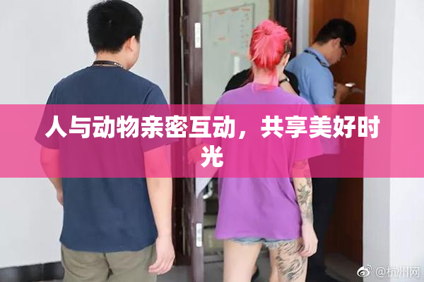 人与动物亲密互动，共享美好时光
