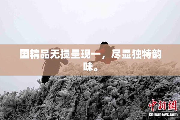 国精品无损呈现一，尽显独特韵味。