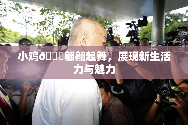 小鸡🐔翩翩起舞，展现新生活力与魅力