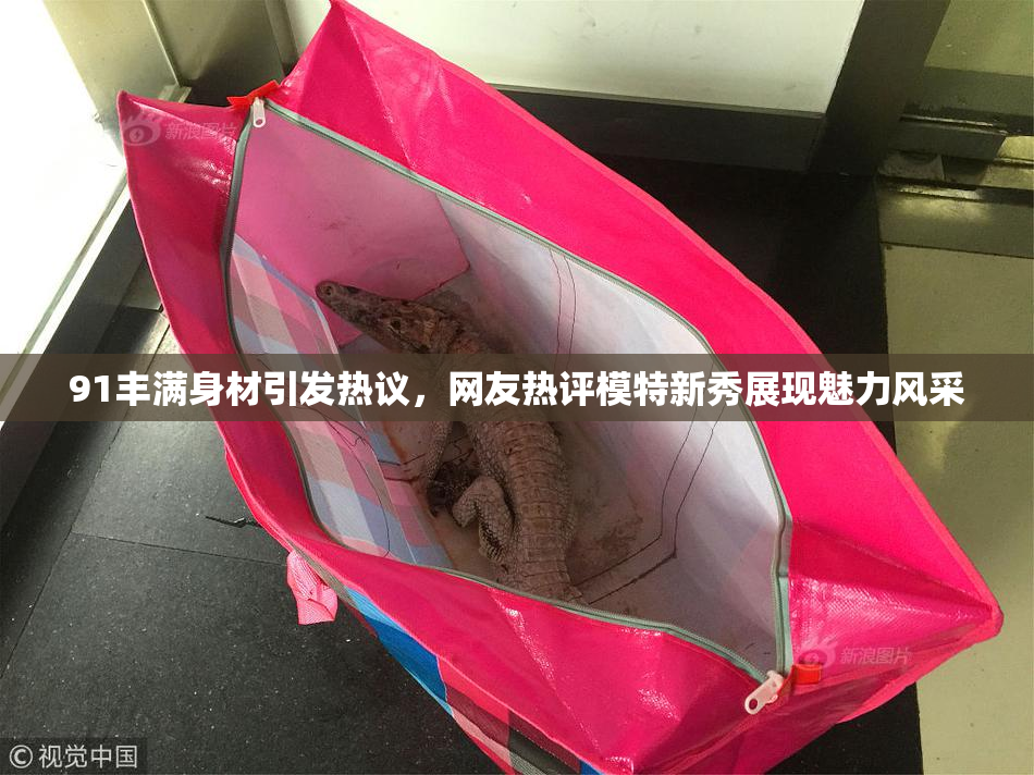91丰满身材引发热议，网友热评模特新秀展现魅力风采