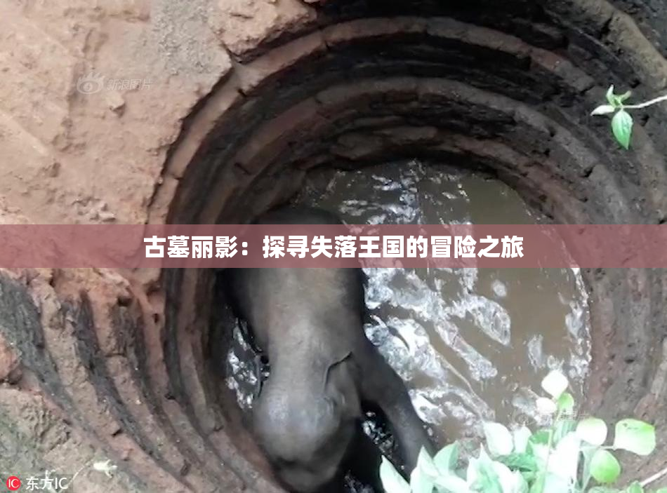 古墓丽影：探寻失落王国的冒险之旅