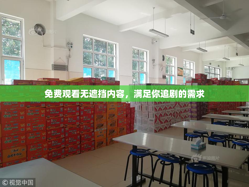 免费观看无遮挡内容，满足你追剧的需求