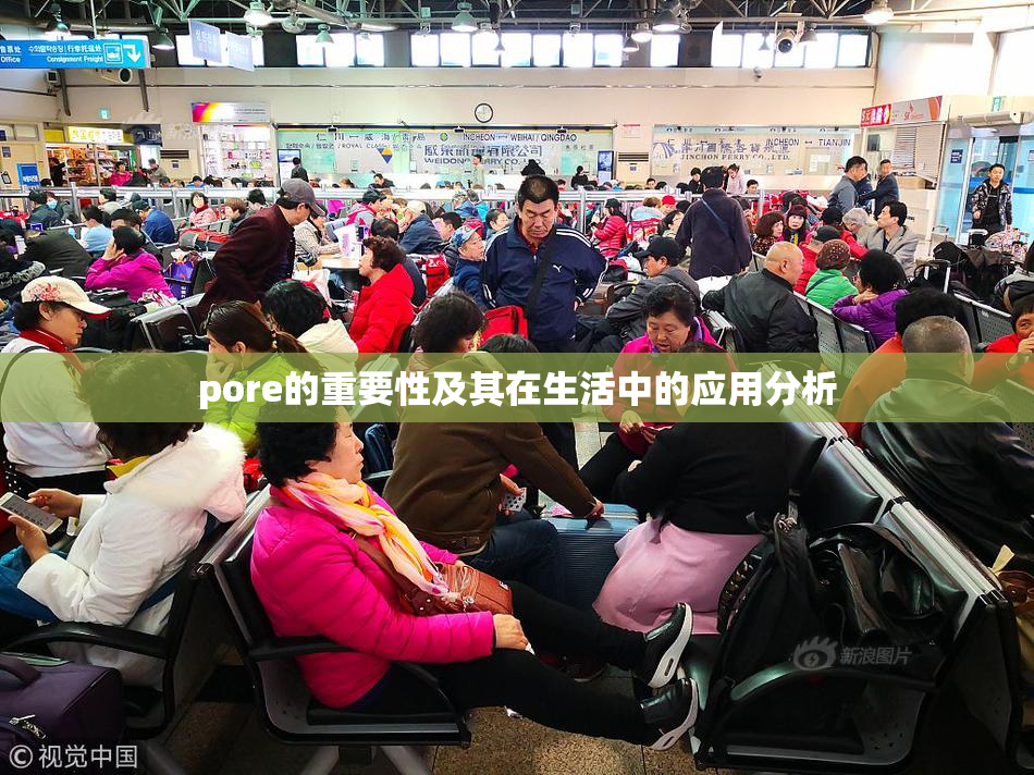pore的重要性及其在生活中的应用分析