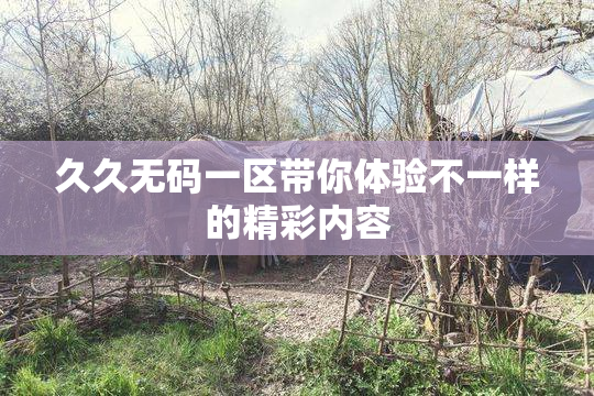 久久无码一区带你体验不一样的精彩内容