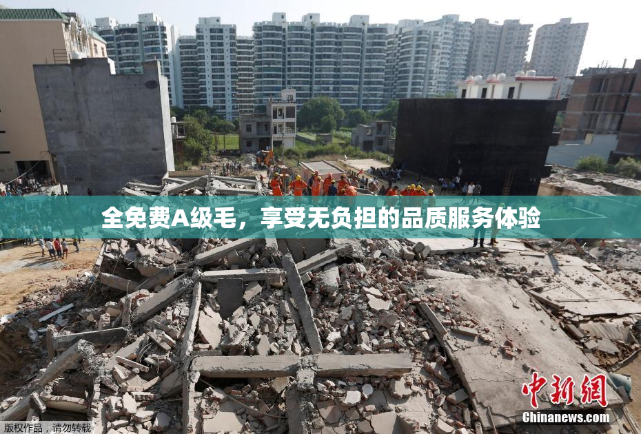 全免费A级毛，享受无负担的品质服务体验