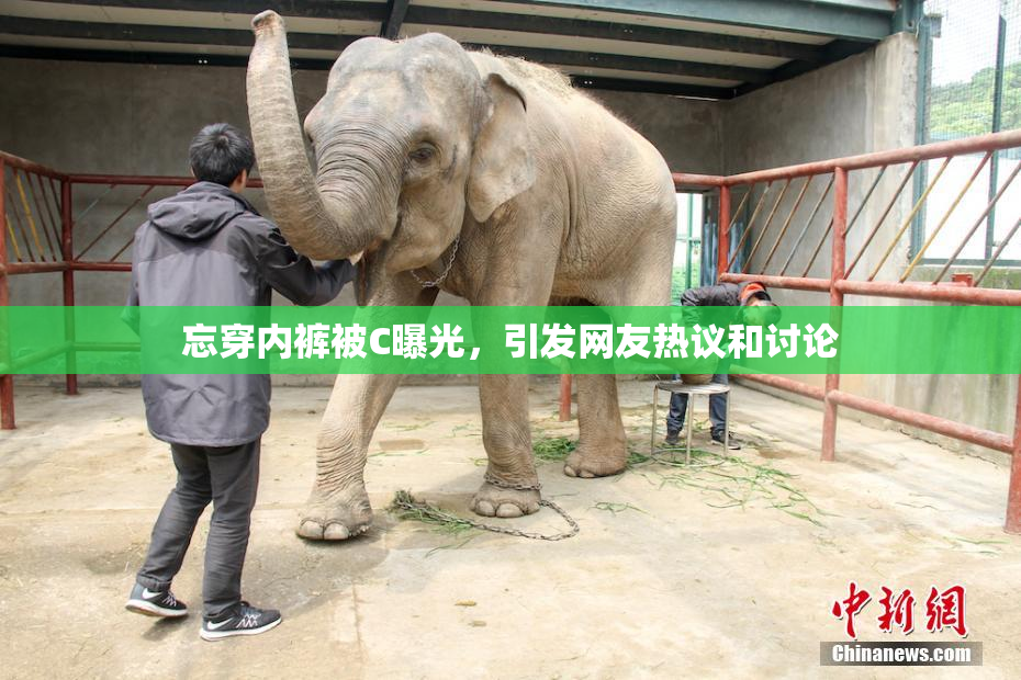 忘穿内裤被C曝光，引发网友热议和讨论