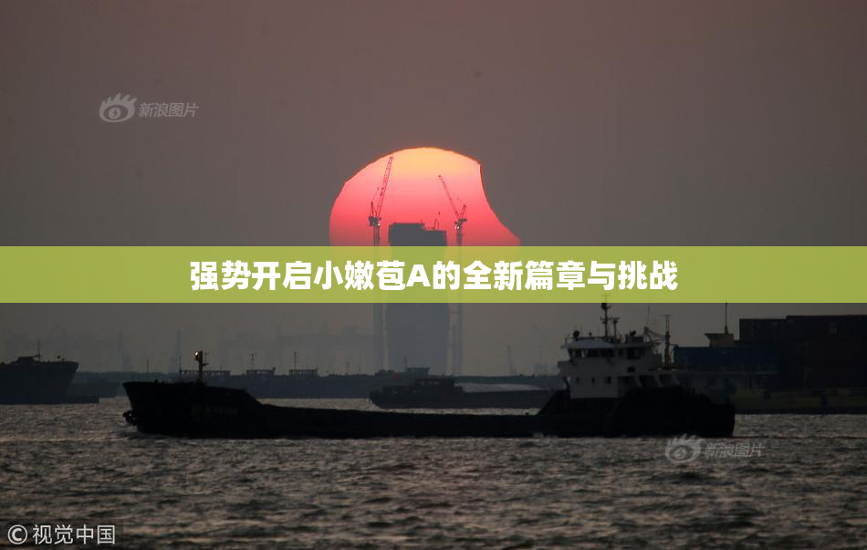 强势开启小嫩苞A的全新篇章与挑战