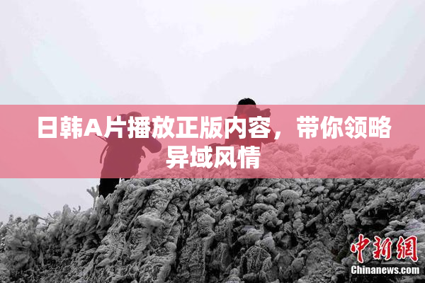日韩A片播放正版内容，带你领略异域风情
