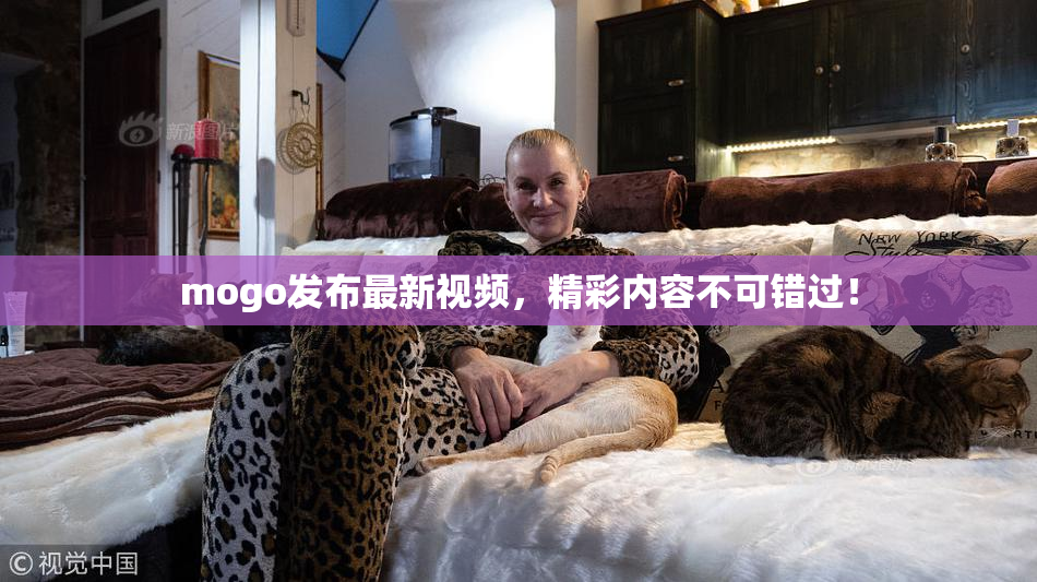 mogo发布最新视频，精彩内容不可错过！
