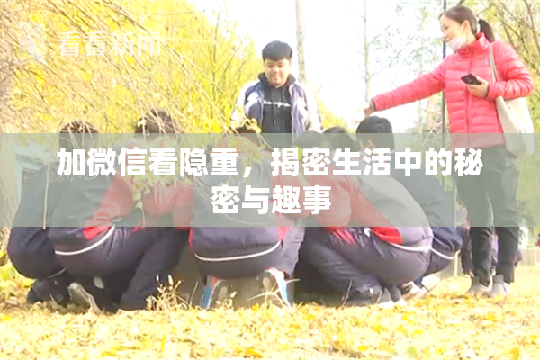 加微信看隐重，揭密生活中的秘密与趣事