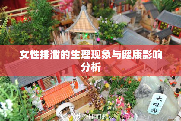 女性排泄的生理现象与健康影响分析