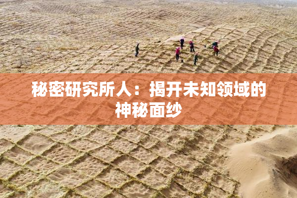 秘密研究所人：揭开未知领域的神秘面纱