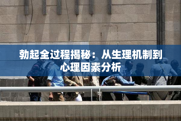 勃起全过程揭秘：从生理机制到心理因素分析