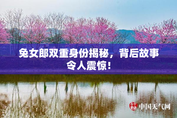 兔女郎双重身份揭秘，背后故事令人震惊！