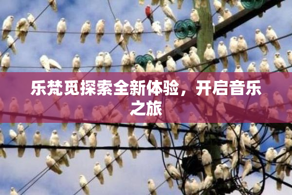 乐梵觅探索全新体验，开启音乐之旅
