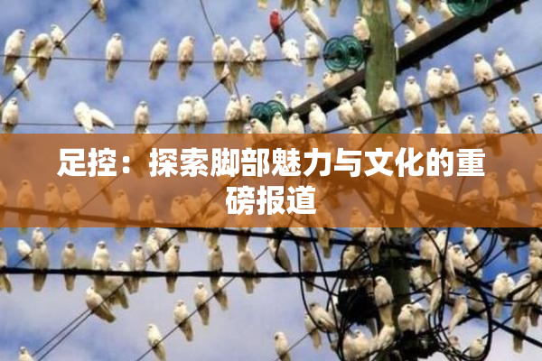 足控：探索脚部魅力与文化的重磅报道