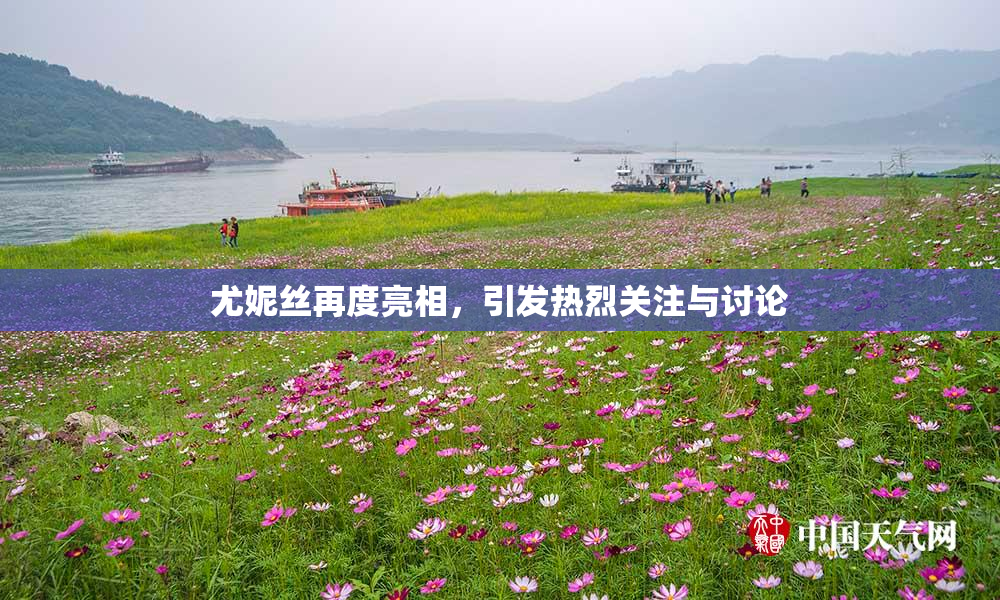 尤妮丝再度亮相，引发热烈关注与讨论
