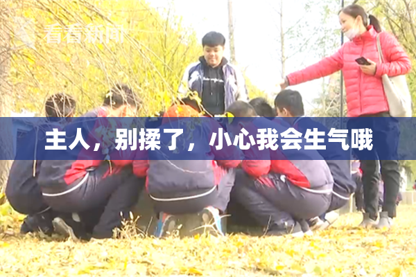 主人，别揉了，小心我会生气哦