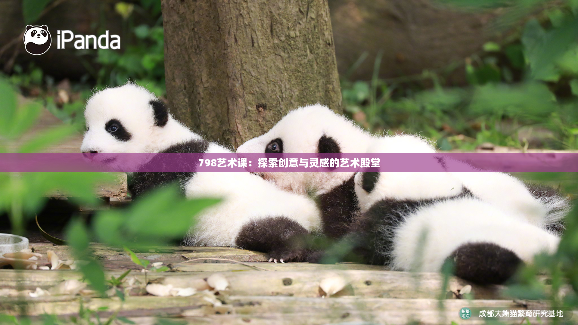 798艺术课：探索创意与灵感的艺术殿堂