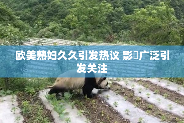 欧美熟妇久久引发热议 影響广泛引发关注