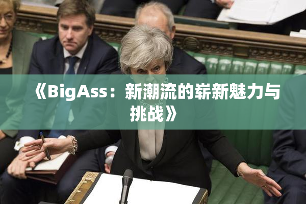《BigAss：新潮流的崭新魅力与挑战》