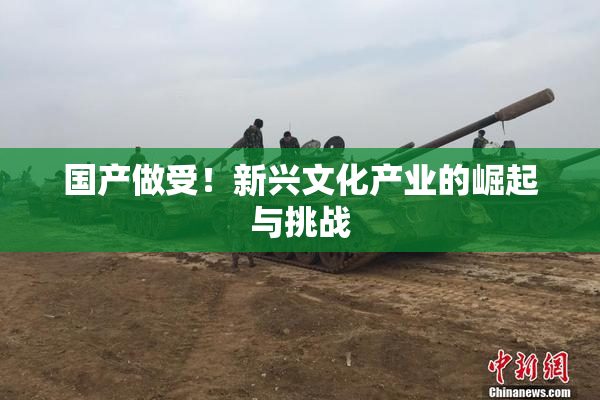 国产做受！新兴文化产业的崛起与挑战