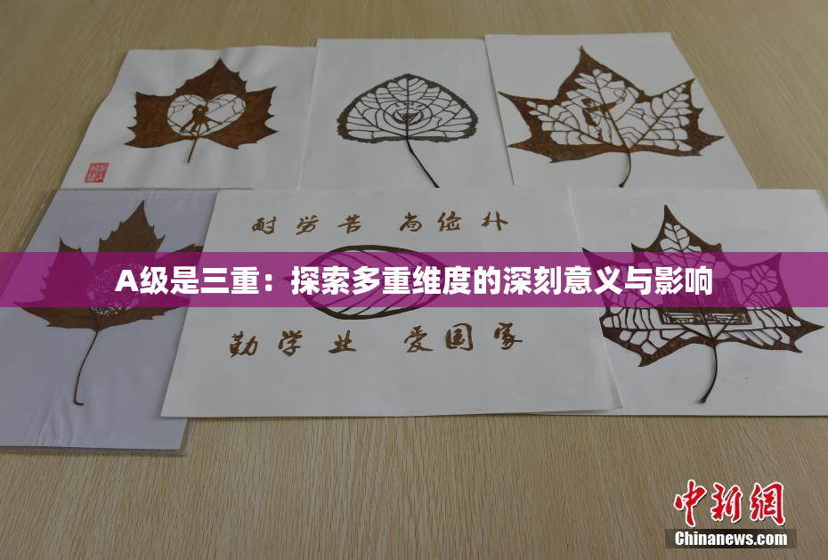 A级是三重：探索多重维度的深刻意义与影响