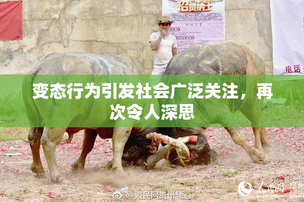 变态行为引发社会广泛关注，再次令人深思
