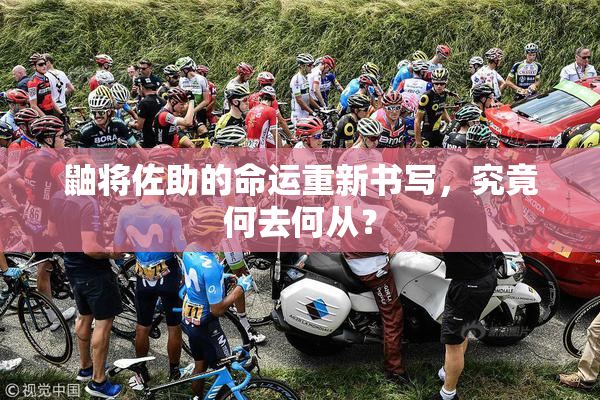 鼬将佐助的命运重新书写，究竟何去何从？