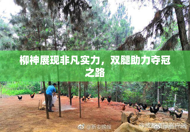 柳神展现非凡实力，双腿助力夺冠之路