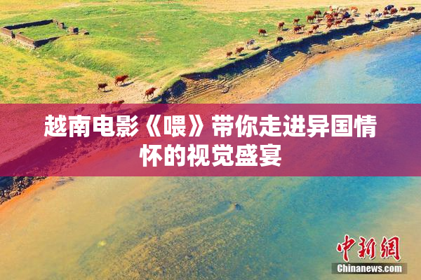 越南电影《喂》带你走进异国情怀的视觉盛宴